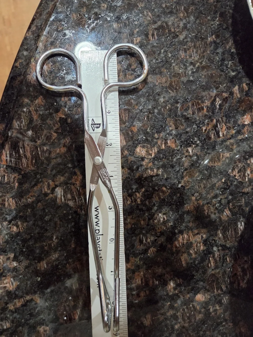Stainless Steel Silver serving holder